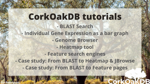 CorkOakDB tutorials
